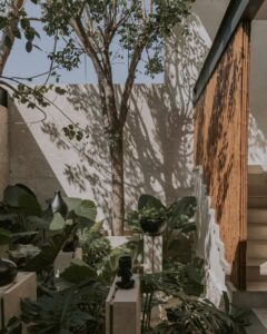 casa-eya-tara-arquitectura_7