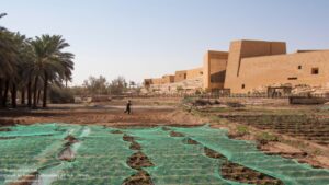 diriyah-art-futures-contemporary-art-hub-schiattarella-associati_1 (1) (Copy)