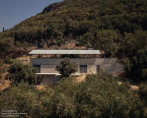 house-in-a-olive-invisible-studio_1 (Copy)