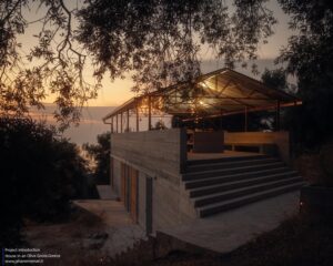 house-in-a-olive-invisible-studio_11 (Copy)