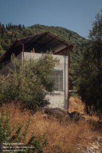 house-in-a-olive-invisible-studio_17 (Copy)