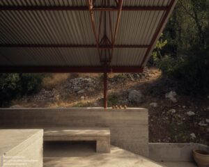 house-in-a-olive-invisible-studio_20 (Copy)