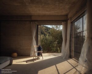 house-in-a-olive-invisible-studio_25 (Copy)