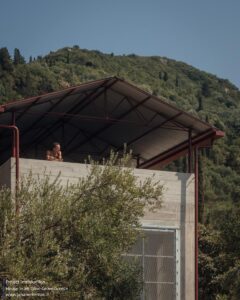 house-in-a-olive-invisible-studio_5 (Copy)