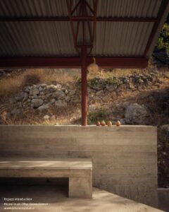 house-in-a-olive-invisible-studio_6 (Copy)