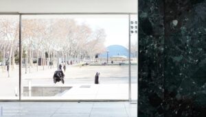 Mies6